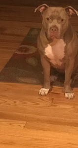 Meet your Posher, Frederick